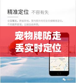 宠物牌防走丢实时定位，宠物防丢卡怎么定位 