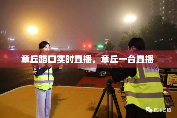 蛙鸣蚓叫 第3页