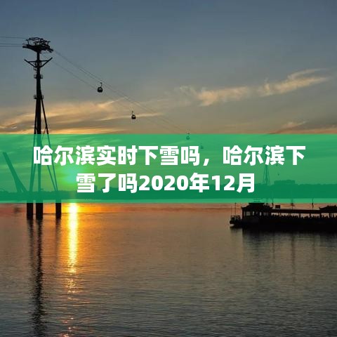 哈尔滨实时下雪吗，哈尔滨下雪了吗2020年12月 