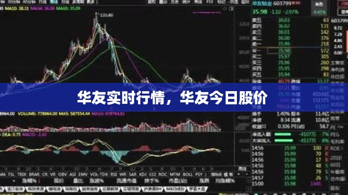 华友实时行情，华友今日股价 