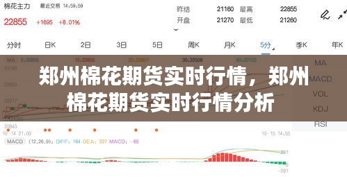 郑州棉花期货实时行情，郑州棉花期货实时行情分析 
