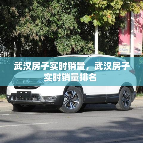 武汉房子实时销量，武汉房子实时销量排名 