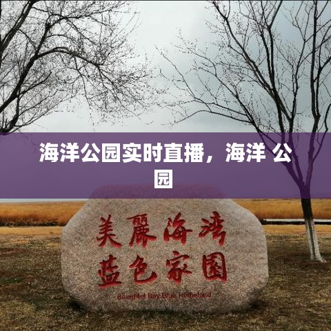 海洋公园实时直播，海洋 公园 