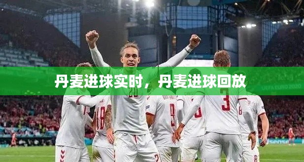 丹麦进球实时，丹麦进球回放 
