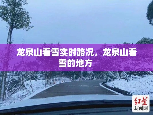 龙泉山看雪实时路况，龙泉山看雪的地方 