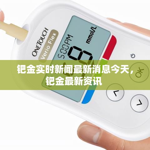 钯金实时新闻最新消息今天，钯金最新资讯 