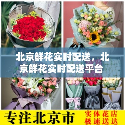北京鲜花实时配送，北京鲜花实时配送平台 