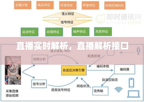 直播实时解析，直播解析接口 