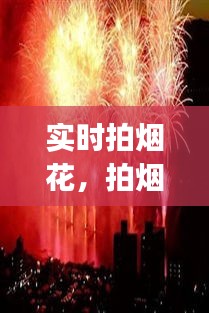 富贵荣华 第3页