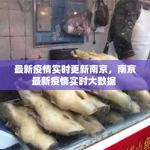 最新疫情实时更新南京，南京最新疫情实时大数据 