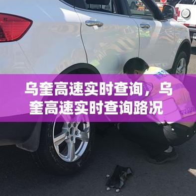 第1335页