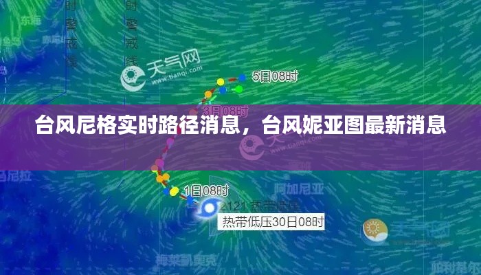 台风尼格实时路径消息，台风妮亚图最新消息 