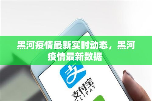 黑河疫情最新实时动态，黑河疫情最新数据 