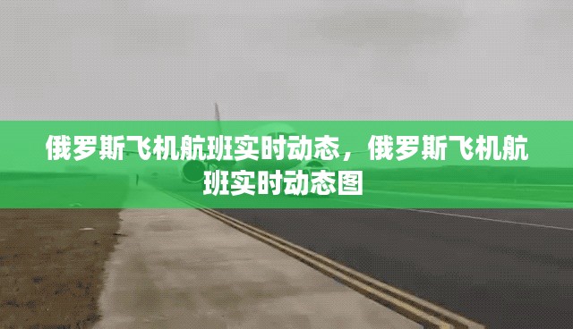 第1331页
