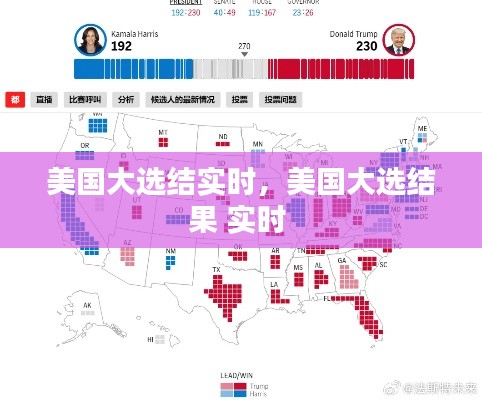 美国大选结实时，美国大选结果 实时 