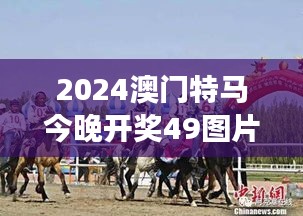 2024澳门特马今晚开奖49图片：赛马之夜，激情与梦想交织