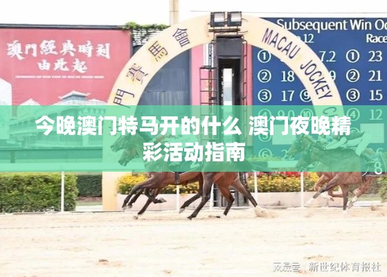 今晚澳门特马开的什么 澳门夜晚精彩活动指南