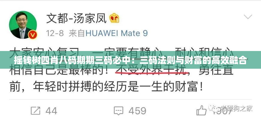 摇钱树四肖八码期期三码必中：三码法则与财富的高效融合