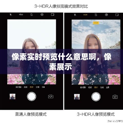 像素实时预览什么意思啊，像素展示 