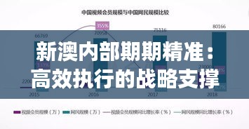 新澳内部期期精准：高效执行的战略支撑