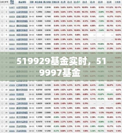 519929基金实时，519997基金 