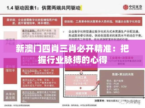 新澳门四肖三肖必开精准：把握行业脉搏的心得