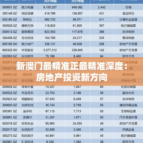 新澳门最精准正最精准深度：房地产投资新方向