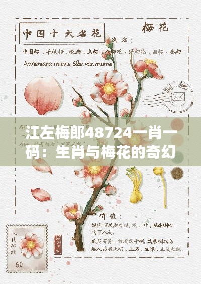 江左梅郎48724一肖一码：生肖与梅花的奇幻旅程