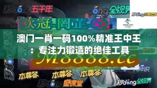 澳门一肖一码100%精准王中王：专注力锻造的绝佳工具