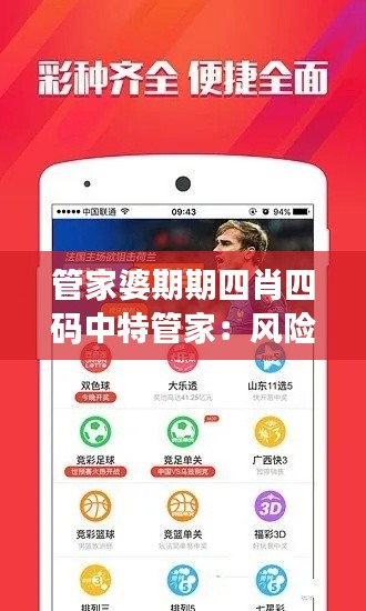 管家婆期期四肖四码中特管家：风险管理中的四个阶段
