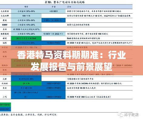 香港特马资料期期准：行业发展报告与前景展望