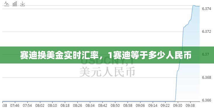 赛迪换美金实时汇率，1赛迪等于多少人民币 