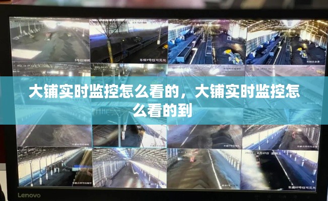 大铺实时监控怎么看的，大铺实时监控怎么看的到 