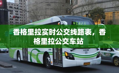 香格里拉实时公交线路表，香格里拉公交车站 