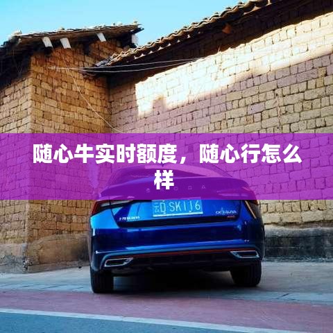 随心牛实时额度，随心行怎么样 