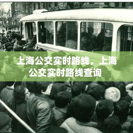 上海公交实时路线，上海公交实时路线查询 