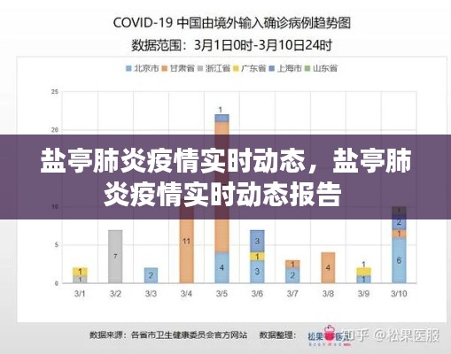 盐亭肺炎疫情实时动态，盐亭肺炎疫情实时动态报告 