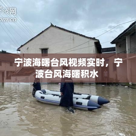 听见风就是雨 第3页