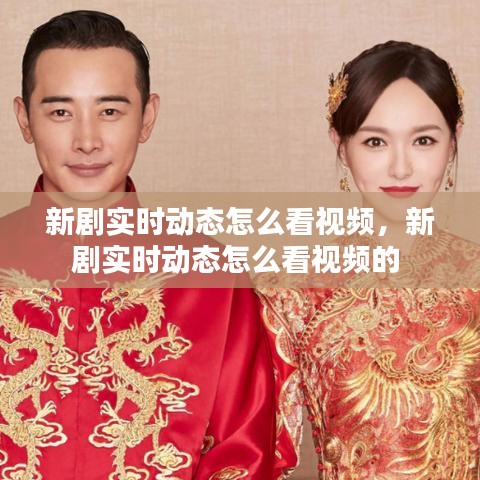 新剧实时动态怎么看视频，新剧实时动态怎么看视频的 