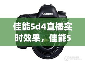 小鸟伊人 第3页