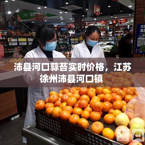 沛县河口蒜苔实时价格，江苏徐州沛县河口镇 