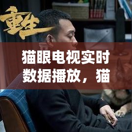 猫眼电视实时数据播放，猫眼电视收视 