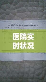第1233页
