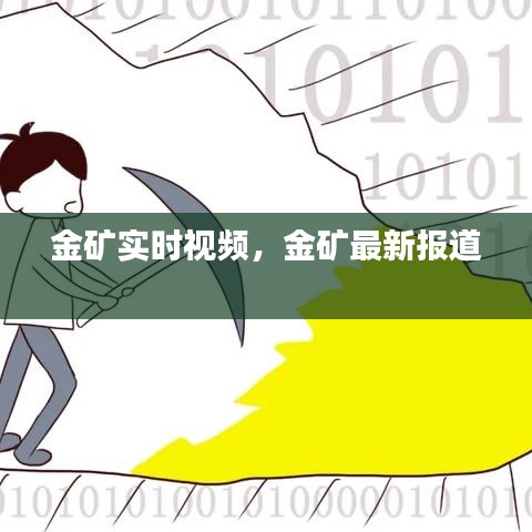 金矿实时视频，金矿最新报道 