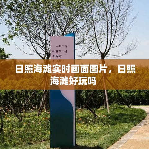 日照海滩实时画面图片，日照海滩好玩吗 