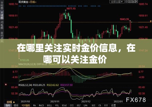 在哪里关注实时金价信息，在哪可以关注金价 