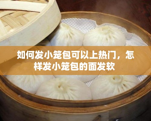 如何发小笼包可以上热门，怎样发小笼包的面发软 