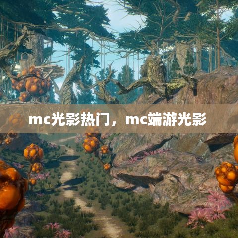mc光影热门，mc端游光影 