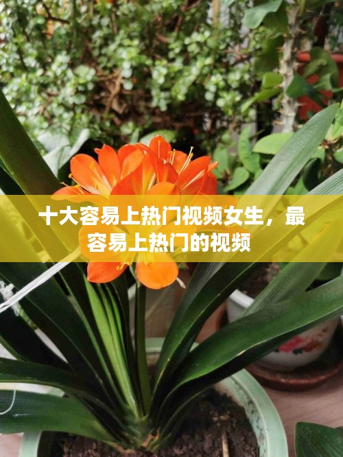 十大容易上热门视频女生，最容易上热门的视频 