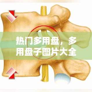 热门多用盘，多用盘子图片大全 